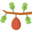 Fig icône 64x64
