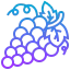 Grape ícono 64x64