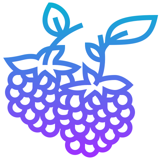 Raspberry ícone