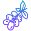 Grape ícono 64x64