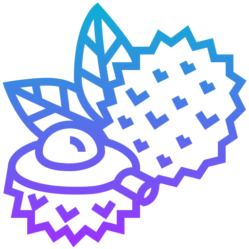 Lychee icon