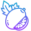 Kiwi アイコン 64x64