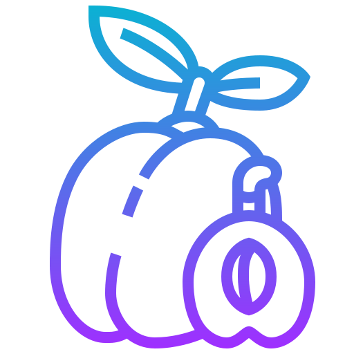 Plum アイコン