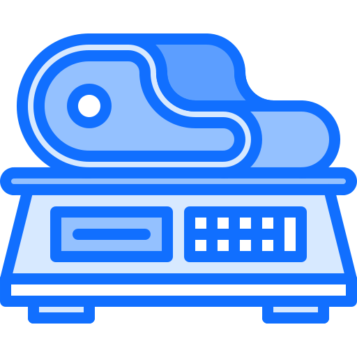 Scale icon