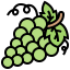 Grape アイコン 64x64