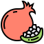 Pomegranate アイコン 64x64