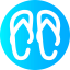 Flip flops icon 64x64