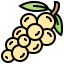 Grapes アイコン 64x64