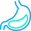Stomach icon 64x64
