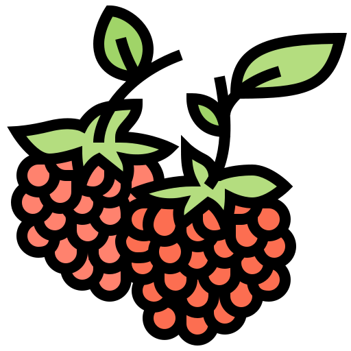 Raspberry ícono