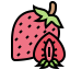 Strawberry icon 64x64