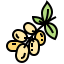 Grape icon 64x64
