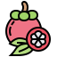 Mangosteen icon 64x64