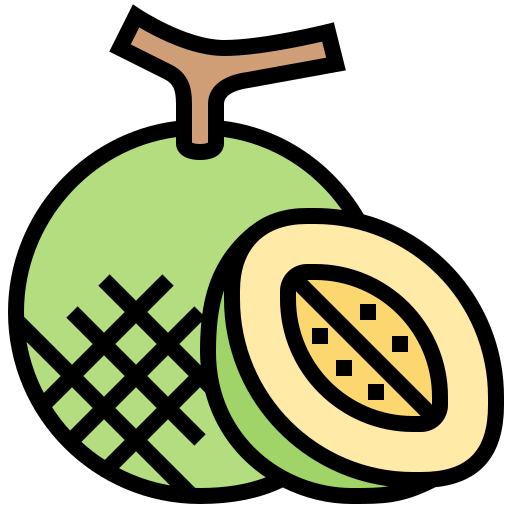 Melon icon
