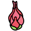 Dragon fruit icon 64x64