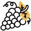 Grape icon 64x64