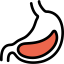 Stomach icon 64x64