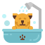 Pet icon 64x64