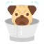 Dog icon 64x64