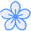 Flower icon 64x64
