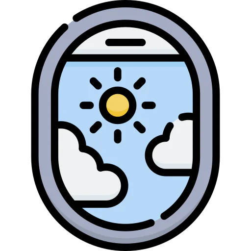 Window icon