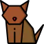 Cat icon 64x64