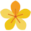Flower Symbol 64x64