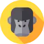 Gorilla ícone 64x64