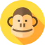Monkey ícone 64x64
