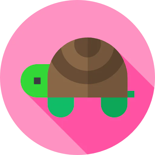 Turtle icon