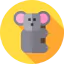 Koala ícone 64x64