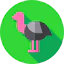 Ostrich ícone 64x64