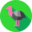 Ostrich icon 64x64