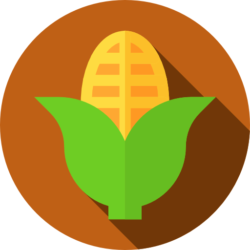 Corn icon