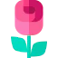 Rose ícone 64x64