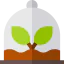 Plant icon 64x64