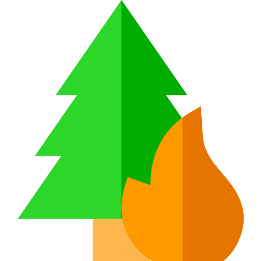Fire icon