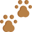 Pawprint icon 64x64