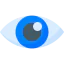 Eye 图标 64x64