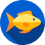 Fish іконка 64x64