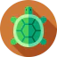 Turtle іконка 64x64
