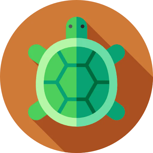 Turtle icon