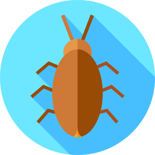 Cockroach icon