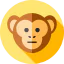 Monkey іконка 64x64