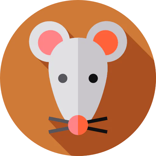 Mouse icon