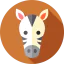 Zebra icon 64x64