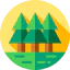 Forest іконка 64x64