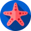 Starfish іконка 64x64