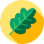 Leaf іконка 64x64