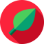 Leaf іконка 64x64
